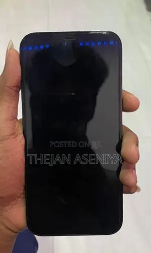 Apple iPhone 12 Pro Max (Used)