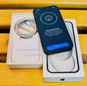 Apple iPhone 15 (Used)