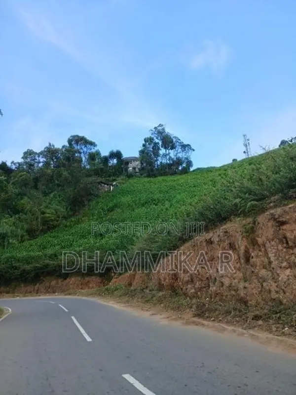 House for Rent at Haputale