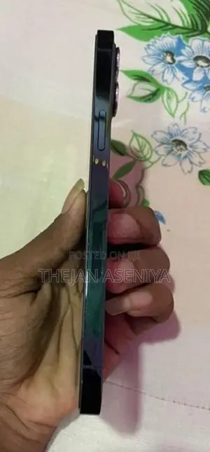 Apple iPhone 12 Pro Max (Used)