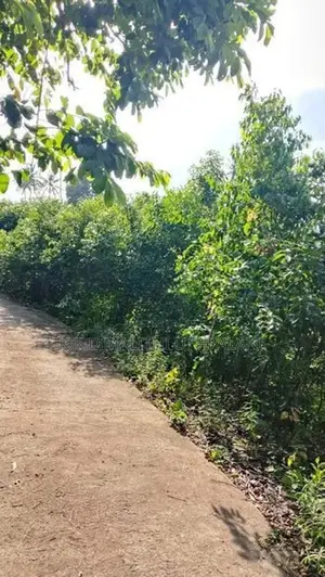 Land for Sale Yatiyana Hakmana