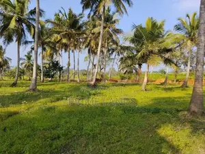 නාච්චාදූව නගරයෙන් ම වටිනා සින්නක්කර බිම් කොටස්