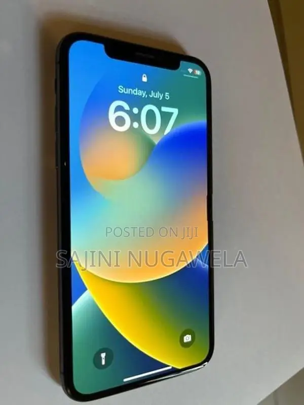 Apple iPhone X (Used)