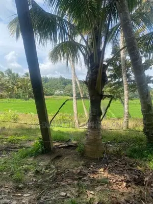 Land for Sale Yatiyana Hakmana
