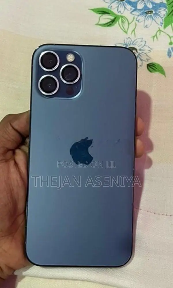 Apple iPhone 12 Pro Max (Used)