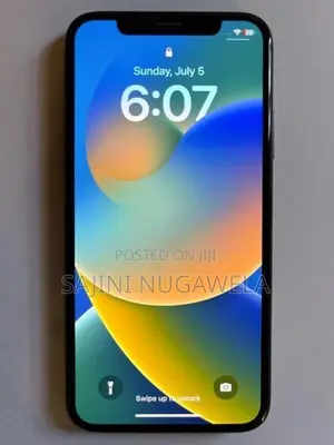 Apple iPhone X (Used)