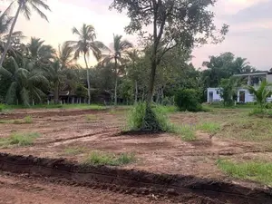 අනුරාධපුර සින්නක්කර ඔප්පු සහිත බිම් කොටස් විකිණීමට