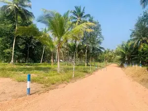 කුරුණෑගල පොතුහැර ටවුමට ලගම තැනක්