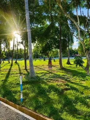 Commercial Land for Sale in Mellawagedara P1