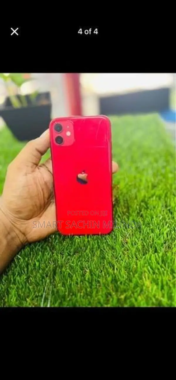 Apple iPhone 11 (Used)