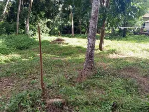 විහාර මාවත නැලිගම රාගම පර්චස් කොටස් විකිණීමට ඇත