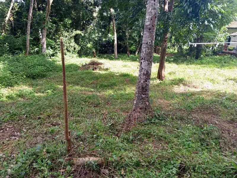 විහාර මාවත නැලිගම රාගම පර්චස් කොටස් විකිණීමට ඇත