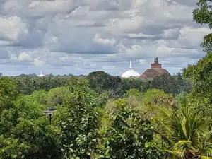 අනුරාධපුර මහ නගර සභා සීමාවෙන් බිම් කොටස්