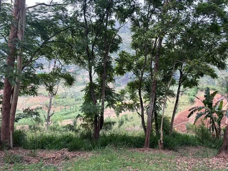 Land for Sale in Bandarawela
