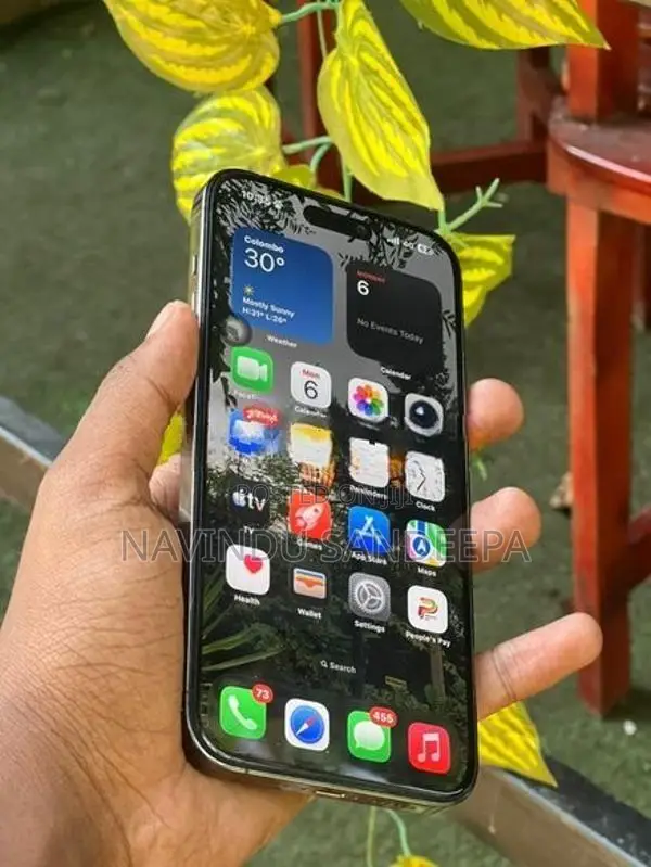 Apple iPhone 14 Pro Max 256GB (Used)