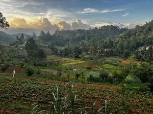 Land for Sale in Bandarawela