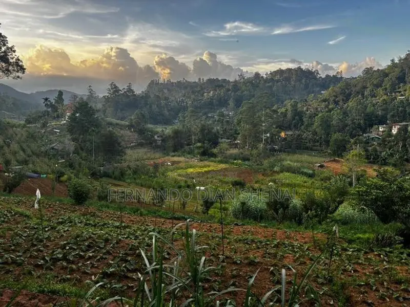 Land for Sale in Bandarawela
