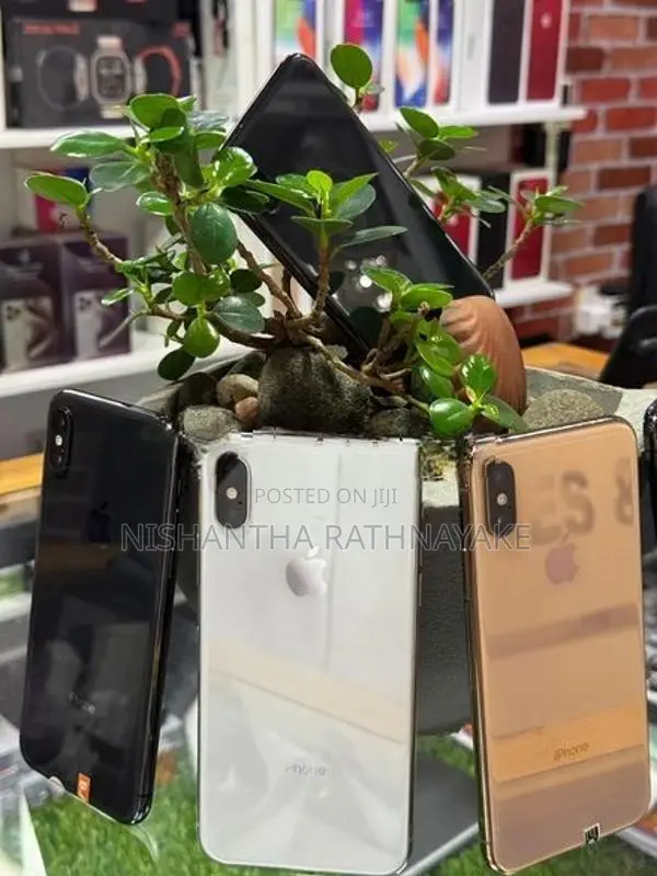 Apple iPhone XS 256GB (Used)