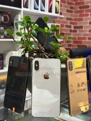 Apple iPhone XS 256GB (Used)