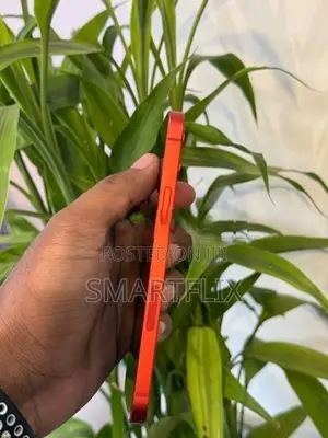 Apple iPhone 12 (Used)