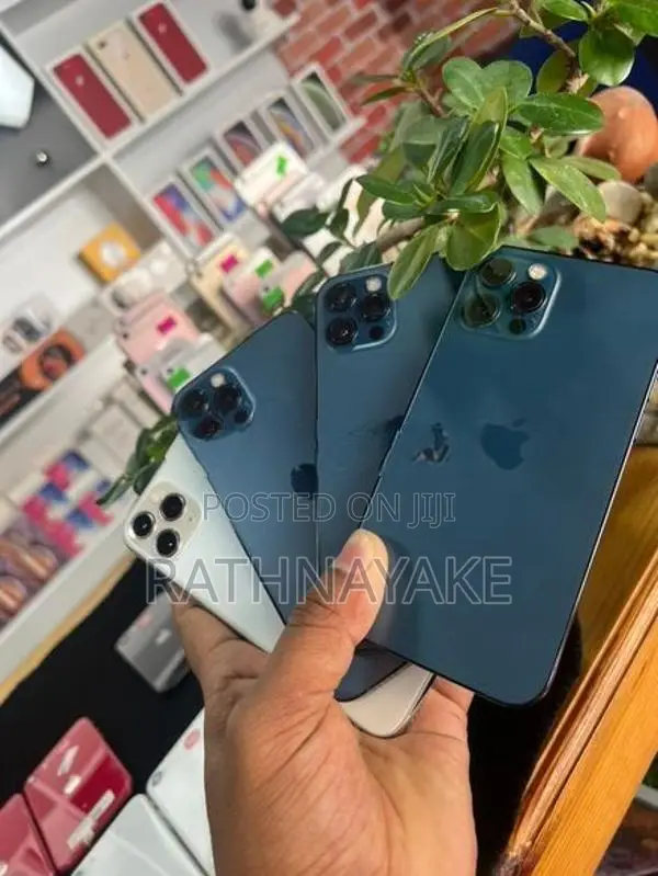 Apple iPhone 12 Pro 256GB (Used)