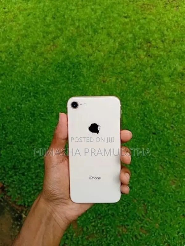 Apple iPhone 8 (Used)
