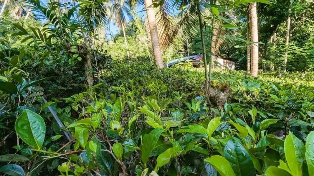අත්තනගලු ඔයට මායිම්ව පර්චස් 53ක්