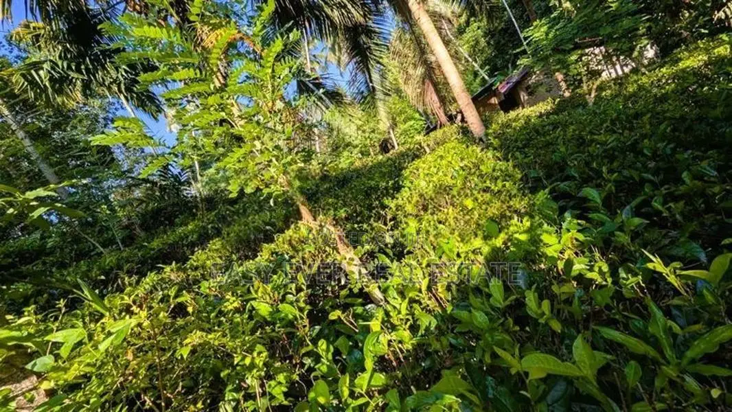 අත්තනගලු ඔයට මායිම්ව පර්චස් 53ක්