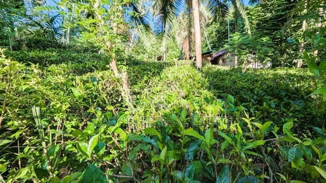 අත්තනගලු ඔයට මායිම්ව පර්චස් 53ක්