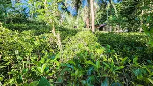 අත්තනගලු ඔයට මායිම්ව පර්චස් 53ක්
