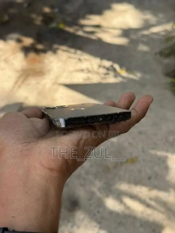 Apple iPhone 12 Pro 256GB (Used)