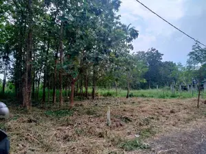 Land for Sale in Pallewela Kuliyapitiya