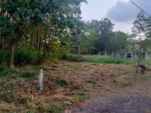 Land for Sale in Pallewela Kuliyapitiya