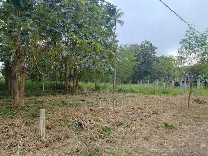 Land for Sale in Pallewela Kuliyapitiya