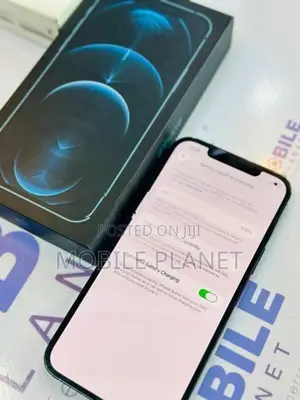 Apple iPhone 12 Pro Max 256GB (Used)