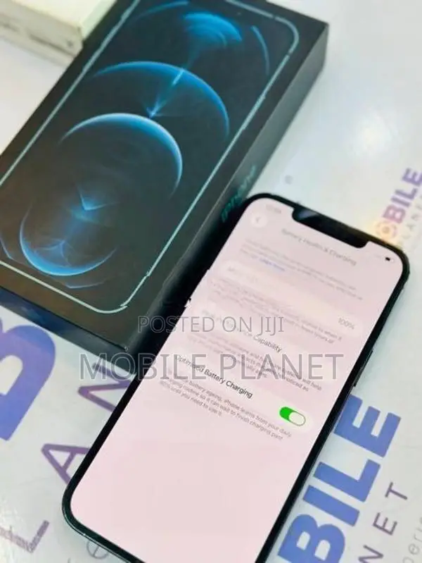 Apple iPhone 12 Pro Max 256GB (Used)