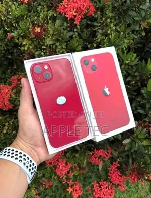 Apple iPhone 13 128GB (Used)