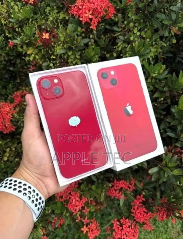 Apple iPhone 13 128GB (Used)