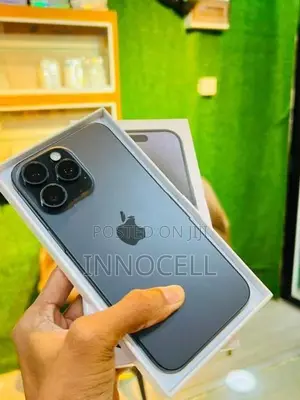 Apple iPhone 15 Pro Max 256GB (Used)