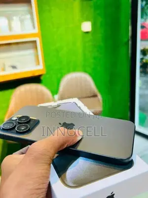 Apple iPhone 15 Pro Max 256GB (Used)