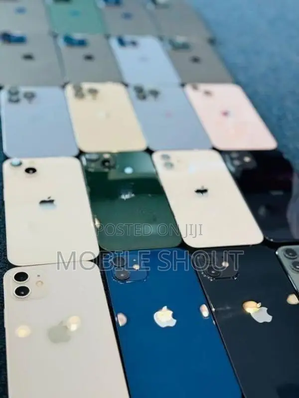 Apple iPhone 13 Pro 256GB (Used)