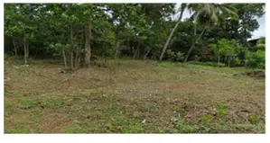 Land for Sale Malabe Kothalawala Pattiyawaththa