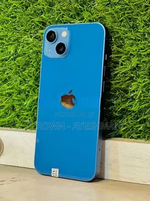 Apple iPhone 13 512GB (Used)