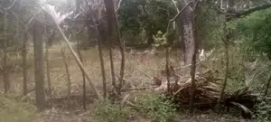 Land For Sale - Chavakachcheri