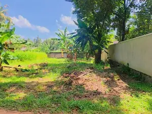 වේයන්ගොඩ – වටිනා ඉඩමක් විකිණීමට / UP 13304