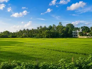 Polgasowita - පොල්ගස්ඕවිට කුඹුරු යායකට මුහුණලා සුන්දර බිම්කොටස්