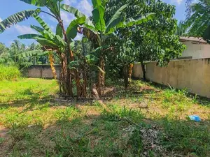වේයන්ගොඩ – වටිනා ඉඩමක් විකිණීමට / UP 13304