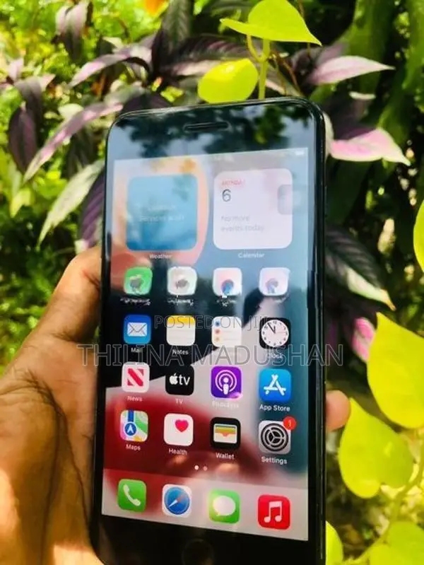 Apple iPhone 7 Plus (Used)