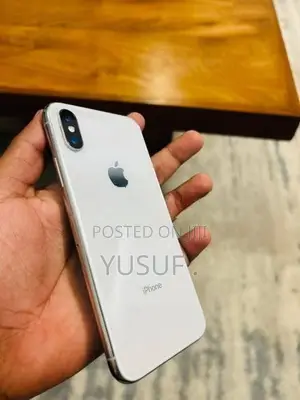 Apple iPhone X (Used)