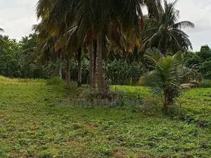 දඹුල්ල අවටින් අක්කර 4ක් ව්කිණිමට ඇත